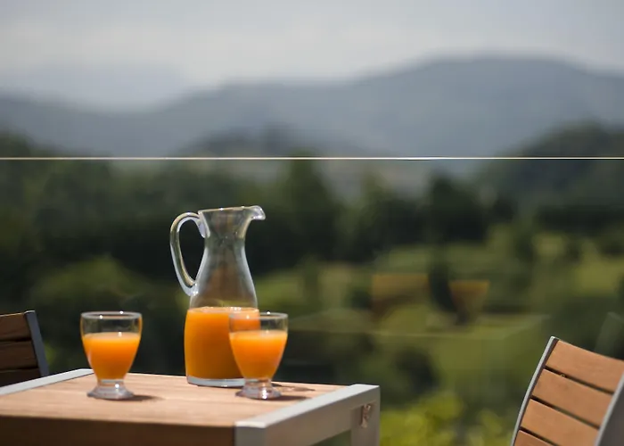 Aparthotel Feelfree Basoa 4*